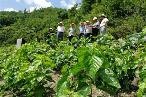 寶業（集團）公司參加中原鎮麻廟村召開“抓產業促脫貧”暨蠶桑產業技術培訓會議